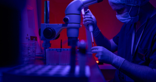 stem cell transplants