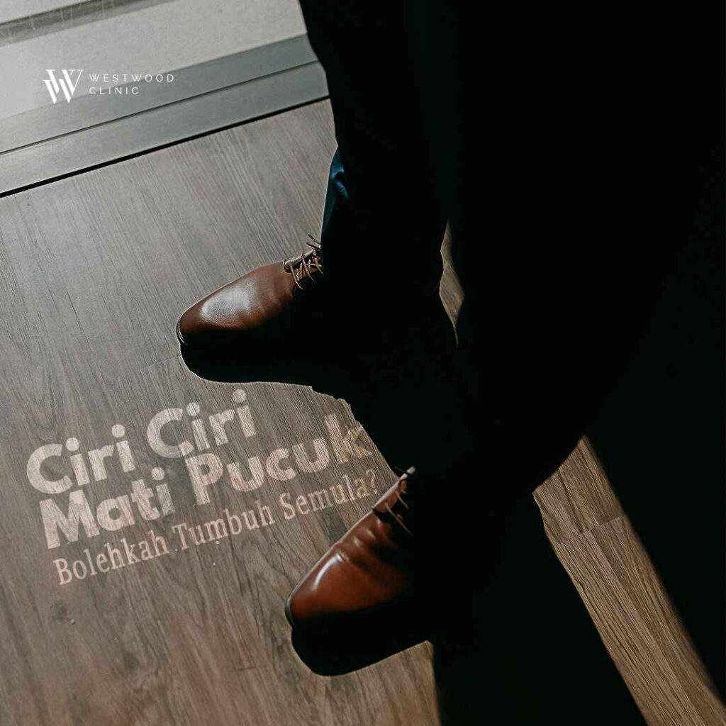 ciri ciri mati pucuk